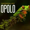 Professional Beat - Opolo - Single